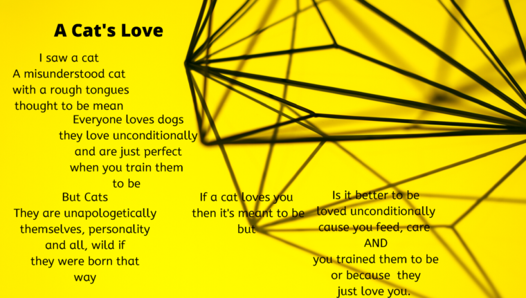Mixed Media Poems