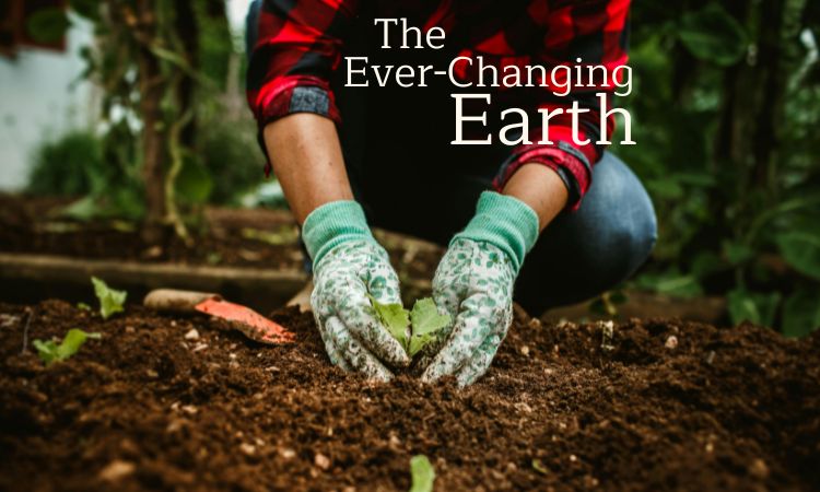 Robyn Lam - The Ever-Changing Earth