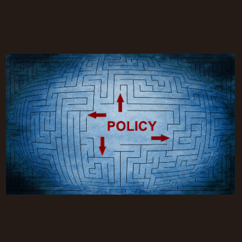 Foundations of Public Policy Lesson Image