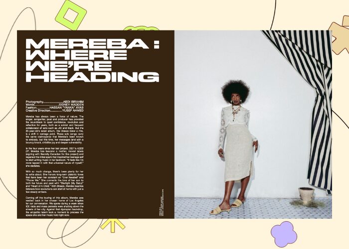 mereba article