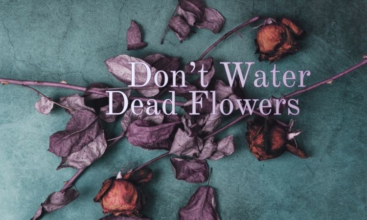 Don't Water Dead Flowers